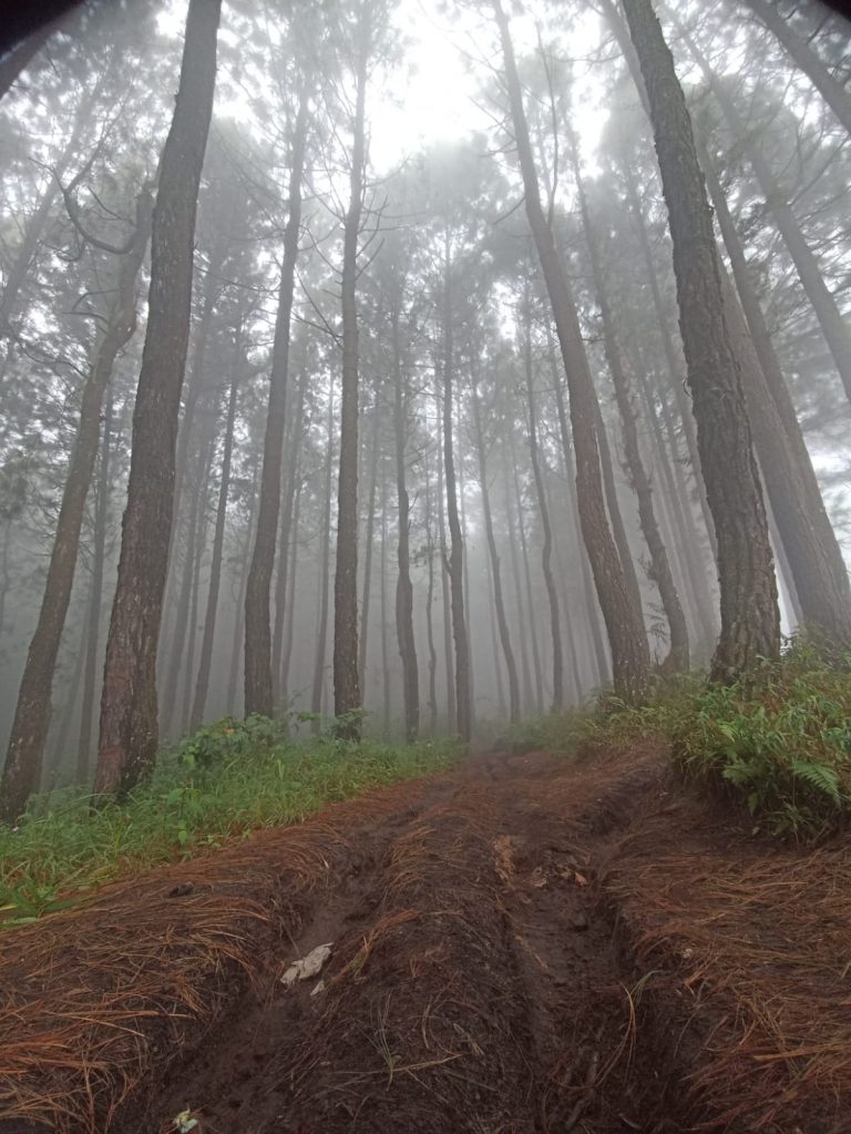 BPBD Kota Magelang Ajak Warga Panjatkan Doa untuk Keselamatan Pendaki yang Hilang di Gunung Slamet