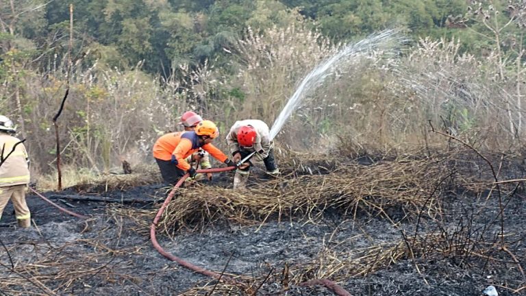 STOP BAKAR SAMPAH & BUANG PUNTUNG ROKOK SEMBARANGAN! 🔥🛑